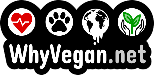 free why vegan sticker